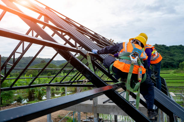 Best Roof Gutter Cleaning  in Mcallen, TX