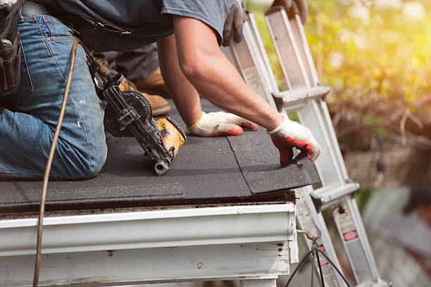 Best Storm Damage Roof Repair  in Mcallen, TX